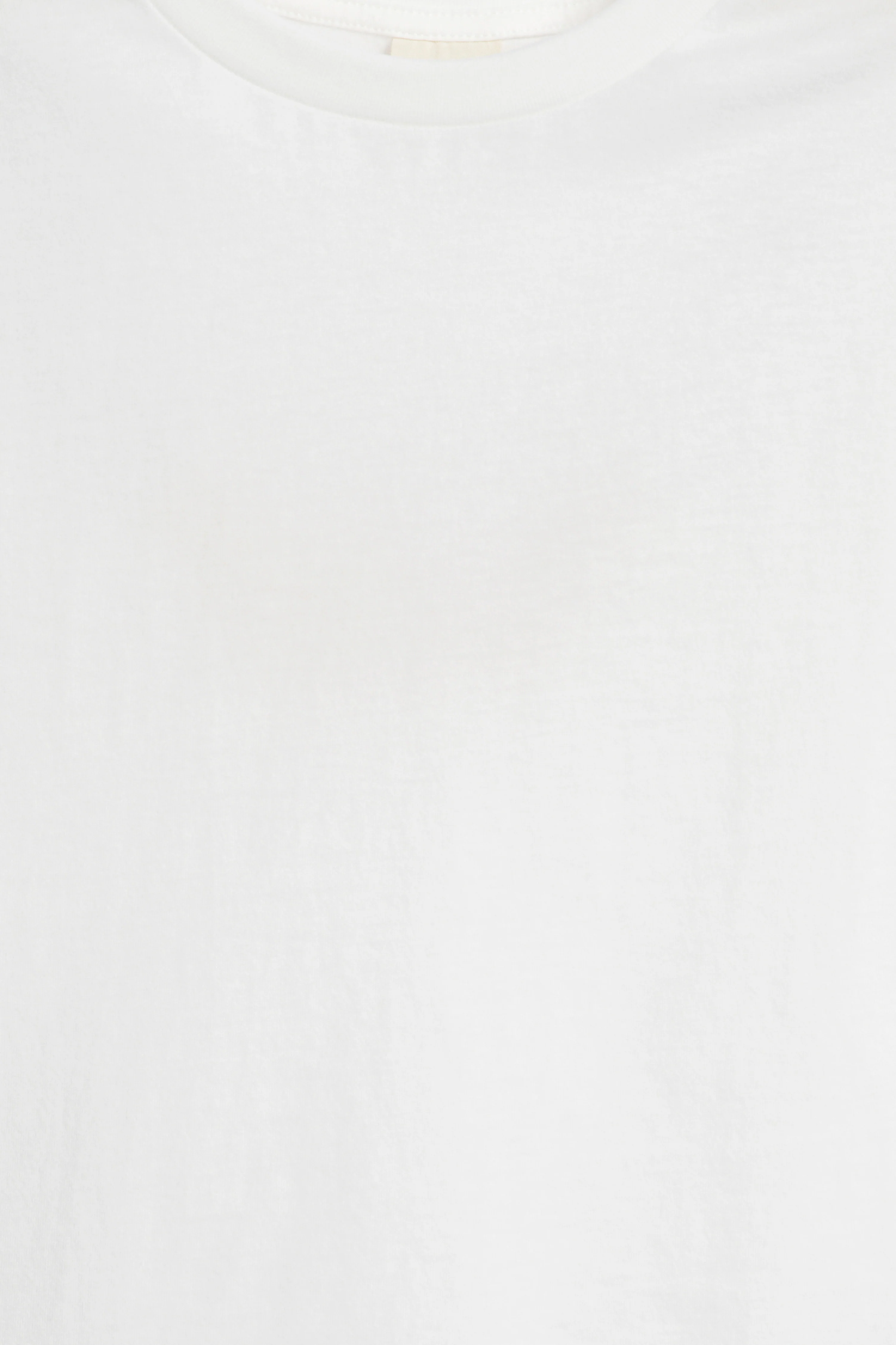 BASIC COTTON T-SHIRT - Image 3